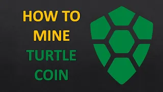 How to Mine TurtleCoin? TRTL Mining Pool