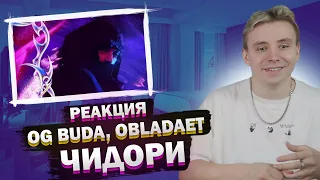 OG BUDA, OBLADAET - ЧИДОРИ | РЕАКЦИЯ МОДЕСТАЛ