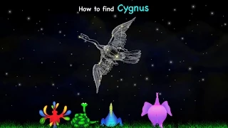 How to find Cygnus (Swan) Constellation – Kiwaka by LANDKA®