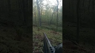 Big WV mountain gobbler hung up behind a large fallen tree. 80 yards was the closest he got. #turkey