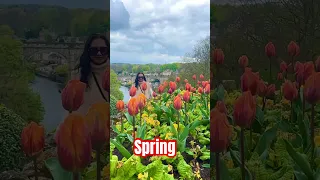 Tulips 🌷 #filipinoinuk  #unitedkingdom  #travel