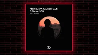 Rauschhaus, Peer Kusiv, Johanson - Entropy (Extended Mix) [Zerothree]