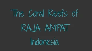The Coral Reefs of Raja Ampat