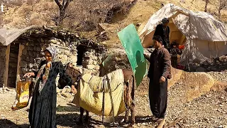 The nomadic man returning from the city and installing glass windows