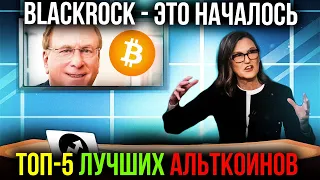 BREAKING: 5 АЛЬТКОИНОВ, КОТОРЫЕ ВСЕ ПОКУПАЮТ СЕЙЧАС! БИТКОИН ВЫШЕЛ НА ФИНИШНУЮ ПРЯМУЮ!