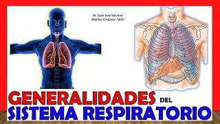 🥇 RESPIRATORY SYSTEM in 18 Minutes!!. Easy and simple!