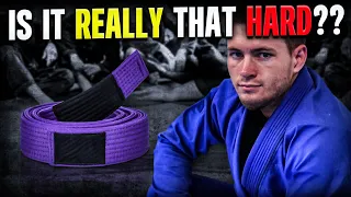 In This Generation, Is Purple STILL The Hardest Belt?