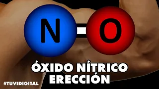 ERECTION and NITRIC OXIDE - Everything you need to know and foods to increase it NATURALLY