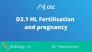 D3.1 HL Fertilisation and Pregnancy [IB Biology HL]