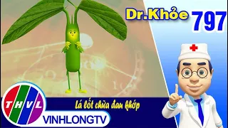 Dr. Khỏe - Tập 797: Lá lốt chữa đau khớp