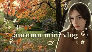 Autumn at the Gardens | cozy no talking mini vlog