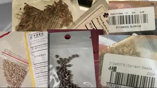 Mystery Seed Package From China Shows Up in NYC Woman's Mailbox | NBC New York