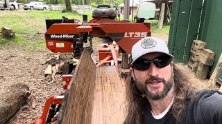 Black walnut & sawmill operation demonstration