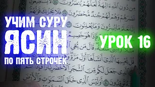 Урок 16 - Учим "ЯСИН" (по пять строчек) / 36-я сура Корана