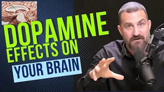 Controlling Your Dopamine For Motivation, Focus & Satisfaction Huberman