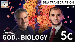 Splicing, an RNA studio, Transcription Part2 | Seeing God in Biology | Dr. Fuz Rana and Ahmed Eshrah