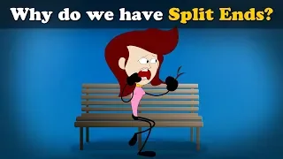 Why do we have Split Ends? + more videos | #aumsum #kids #science #education #children