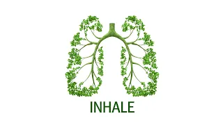 INHALE Open Meeting - 25 May 2023