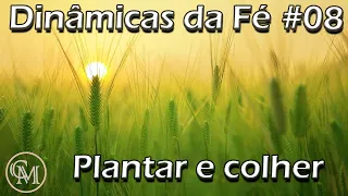 Plantar e colher - Dinâmicas da Fé #08