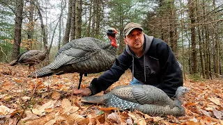 How To Get Turkeys Under 10 Yards: Decoy Placement