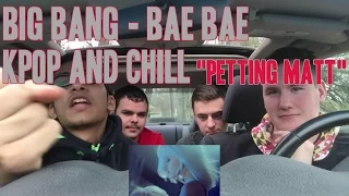 Big Bang - Bae Bae MV Kpop & Chill "Petting Matt"