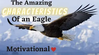 Characteristics of an Eagle - Motivational #Eagle #EagleCharacteristics #EagleSpirit #Leadership