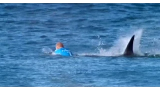 Surfer fights off shark attack mid-competition