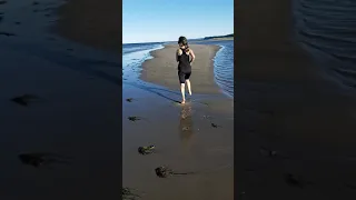 Boom Défense Beach, Gaspé, Quebec. 2020 July.