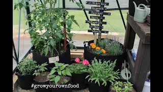 What's Growing - A Quick Greenhouse and Garden Tour