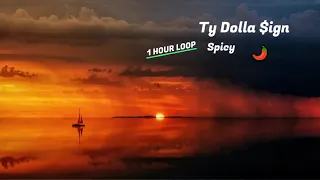 Ty Dolla $ign - Spicy (1 HOUR)