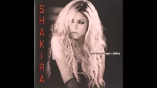 Shakira - Underneath Your Clothes Karaoke / Instrumental with lyrics