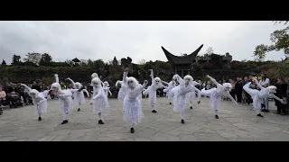 Les Momies par Audrey ADB Danse (Festivités d'Halloween 2022 à Pairi Daiza)