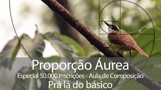 Proporção Áurea - Especial 50.000 Inscrições - Aula grátis de composição, prá lá do básico.