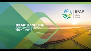 BFAP Baseline 2023 - 2032