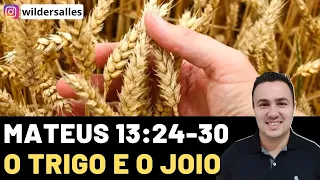 MATEUS 13:24-30 ( O TRIGO E O JOIO )