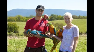 BTT Parrot Training 101 | The Basics of Training Your Parrot