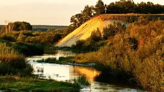 Леонид Коновалов - Охонины брови