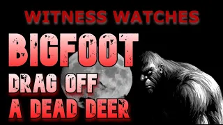 WITNESS WATCHS BIGFOOT DRAG OFF A DEAD DEER! True Encounters With New England's Bigfoot