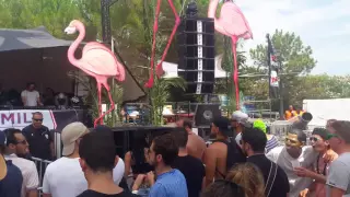 Butch @ Family Piknik Montpellier 2016