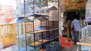 Visit Cage Shop Karimabad Karachi Video in Urdu/Hindi