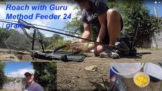 Big Roach with Guru method feeder 24 gram