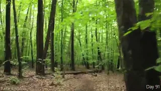 Appalachian Trail 2019 Day 91 New Jersey (4K)High point NJ to Pochunk Mt Shelter