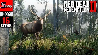 Red Dead Redemption 2 на 100% - [16-стрим]