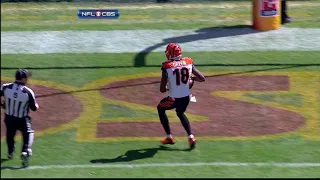 Mohamed Sanu 73 yard TD pass to A.J. Green (2012)