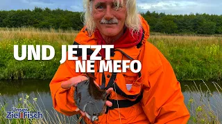 Angeln auf MEERFORELLE in der AU - Hier kann ALLES passieren - Unser Ziel ist Fisch mit Jörg Ovens