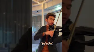 Котик violin cover @AlexanderRybakVideo  @KarolinaProtsenkoViolin