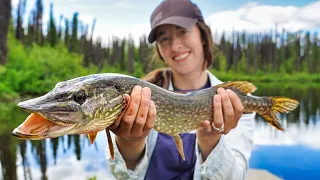 Summer at the Remote Cabin | Northern Pike Fishing in Alaska