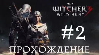 ПРОХОЖДЕНИЕ ВЕДЬМАК 3 (#2) | THE WITCHER 3 WILD HUNT | ВЕЛЕН И КРОВАВЫЙ БАРОН