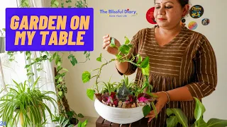 Making My Own Buddha Zen Garden: The Easiest Miniature Garden You'll Ever Make! | DIY Fairy Garden
