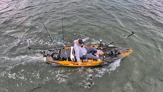 This Ultra Powerful Kayak Motor CHANGED THE GAME, I pardoned Florida Forbidden FISH  Newport NK300